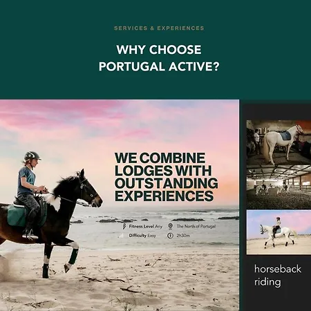 Portugal Active Moledo Beach House